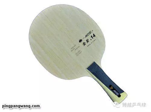世界上最好的乒乓球拍品牌（世界乒乓球拍品牌排名）(9)