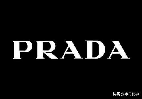 全球服装奢侈品排行榜前十名（全球最贵的15个着装品牌）(11)