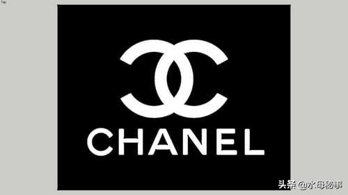 全球服装奢侈品排行榜前十名（全球最贵的15个着装品牌）(13)