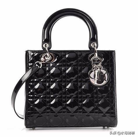 全球服装奢侈品排行榜前十名（全球最贵的15个着装品牌）(16)