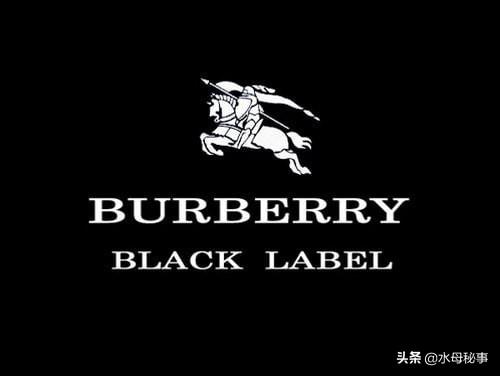 全球服装奢侈品排行榜前十名（全球最贵的15个着装品牌）(19)