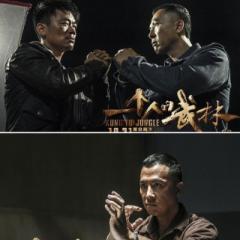 甄子丹的风雨人生（甄子丹一个人的武林）(1)