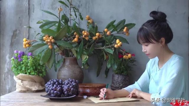 李子柒发展的现状（李子柒红得理所应当）(7)