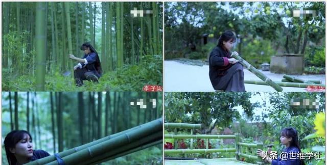 李子柒发展的现状（李子柒红得理所应当）(6)