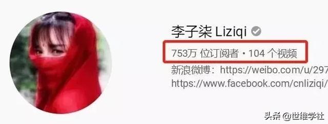 李子柒发展的现状（李子柒红得理所应当）(2)