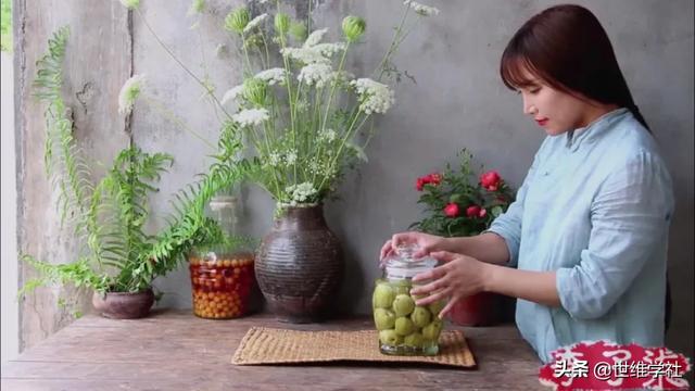 李子柒发展的现状（李子柒红得理所应当）(3)