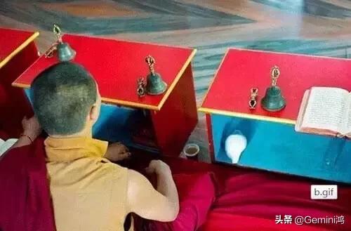 藏传佛教戴什么饰品（藏传佛教中常见的八大法器）(3)