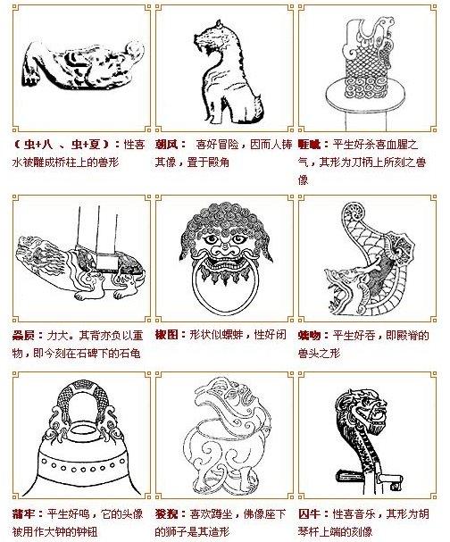 世界上真的有龙存在吗未解之谜（世界上真的有龙吗）(8)