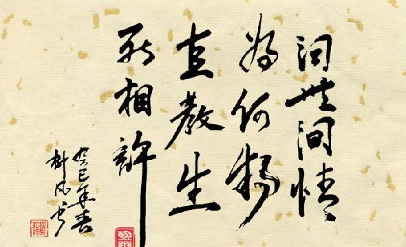 问世间情为何物，接下一句