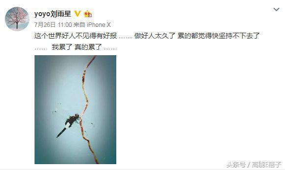 刘雨欣张檬事件前后 刘雨欣自杀住院险丧命(43)