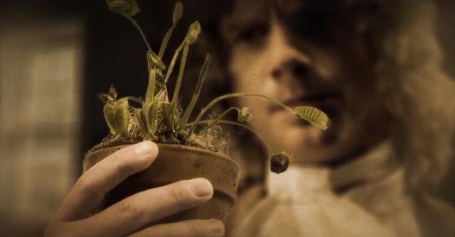 世界上有食人花这种植物吗（食人植物不存在）(6)
