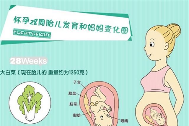 一周从星期几开始算，一个星期有七天年历表中从星期几开始？图6