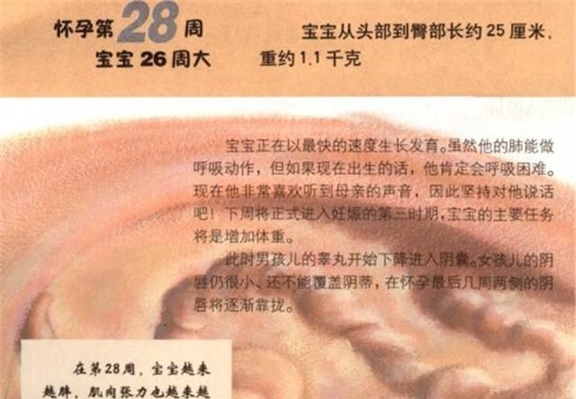 一周从星期几开始算，一个星期有七天年历表中从星期几开始？图5