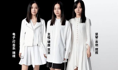 ​福禄寿乐队成员杜雪儿获刑1年道歉 具体咋回事详情介绍