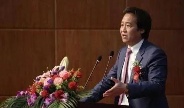 刘亦菲刘晓莉杨采钰陈金飞（白富美刘亦菲背靠陈金飞身价百亿）(24)