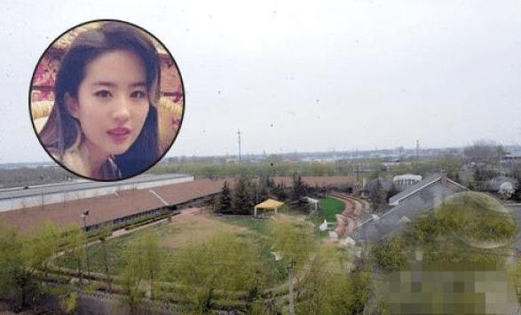 刘亦菲刘晓莉杨采钰陈金飞（白富美刘亦菲背靠陈金飞身价百亿）(6)