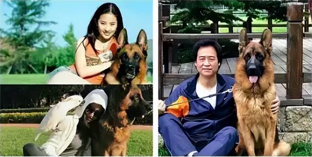 刘亦菲刘晓莉杨采钰陈金飞（白富美刘亦菲背靠陈金飞身价百亿）(28)