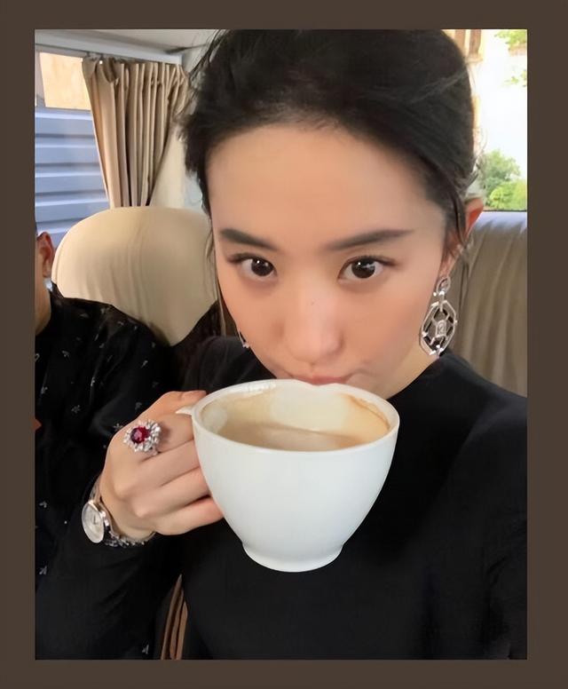 刘亦菲刘晓莉杨采钰陈金飞（白富美刘亦菲背靠陈金飞身价百亿）(17)