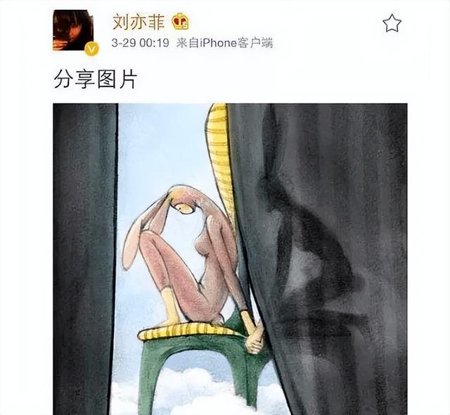 刘亦菲刘晓莉杨采钰陈金飞（白富美刘亦菲背靠陈金飞身价百亿）(41)