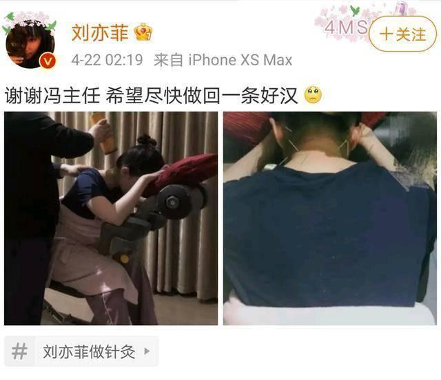 刘亦菲刘晓莉杨采钰陈金飞（白富美刘亦菲背靠陈金飞身价百亿）(57)