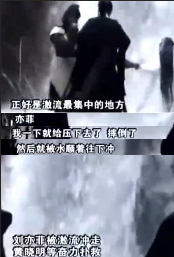 刘亦菲刘晓莉杨采钰陈金飞（白富美刘亦菲背靠陈金飞身价百亿）(55)