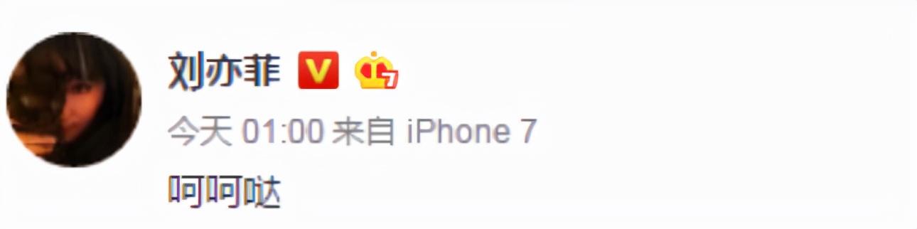 刘亦菲刘晓莉杨采钰陈金飞（白富美刘亦菲背靠陈金飞身价百亿）(31)