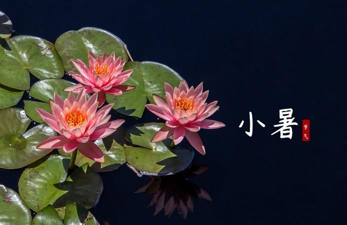 2022年小暑节气是哪一天