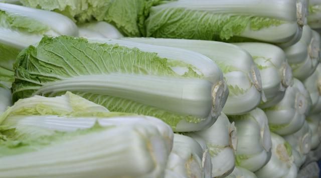 冬天存大量白菜的正确方法