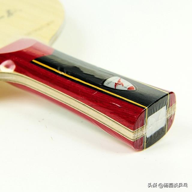 世界十大蝴蝶乒乓球拍（观蝴蝶LOGO变迁之路）(4)