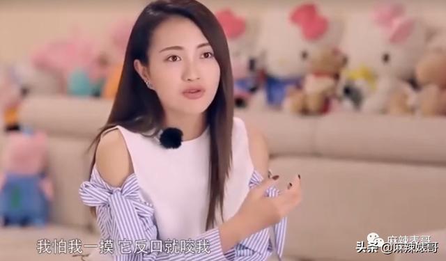 包贝尔为啥这么牛（包贝尔这口碑是真好不起来了）(50)