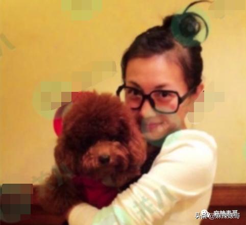 包贝尔为啥这么牛（包贝尔这口碑是真好不起来了）(54)