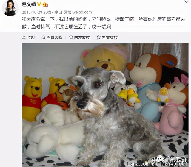 包贝尔为啥这么牛（包贝尔这口碑是真好不起来了）(52)