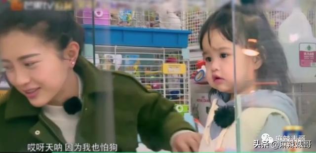 包贝尔为啥这么牛（包贝尔这口碑是真好不起来了）(47)