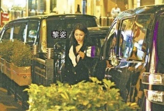 黎姿老公现状（黎姿的丈夫马延强）(17)