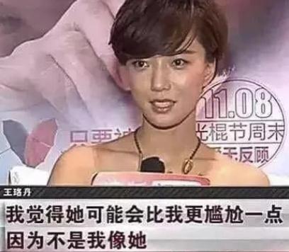白百何陈羽凡之前真的离婚了吗（白百何出轨另有隐情）(27)