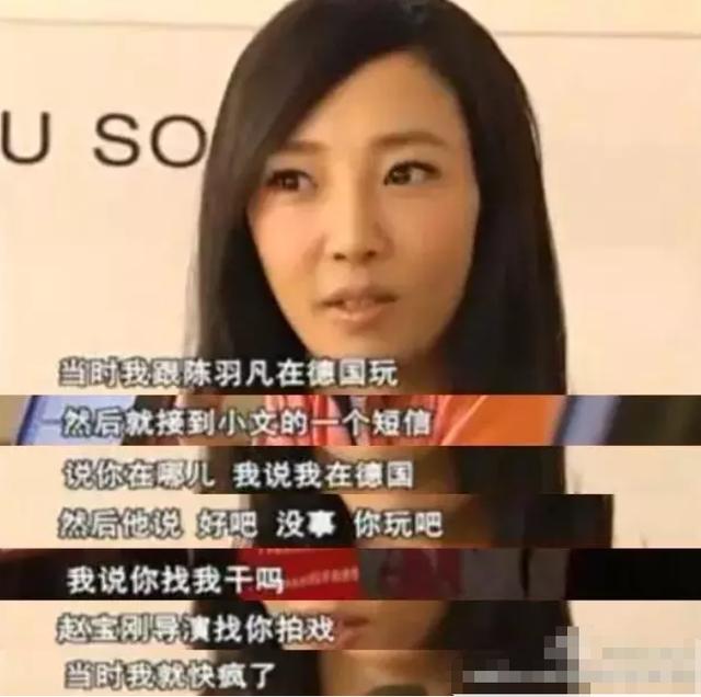 白百何陈羽凡之前真的离婚了吗（白百何出轨另有隐情）(21)