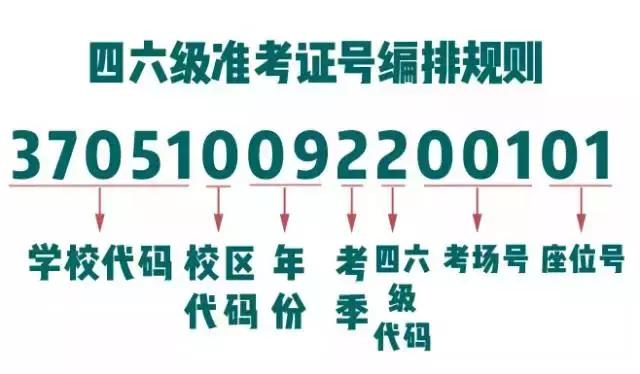 忘记准考证如何查四六级成绩（四六级查分攻略）(4)