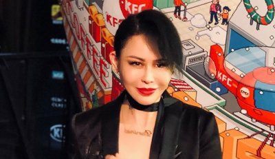 ​罗琦的眼睛怎么回事被刺瞎原因曝光 罗琦老公是谁个人资料简介
