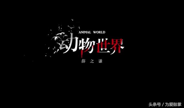 薛之谦现场版动物世界（薛之谦动物世界MV发布辣眼睛）(4)