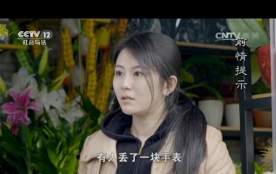 普法栏目剧爱的谎言第四集 蓝欣奶奶遭遇意外身亡