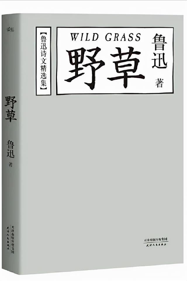 鲁迅的知名作品（看过这5部鲁迅代表作）(4)
