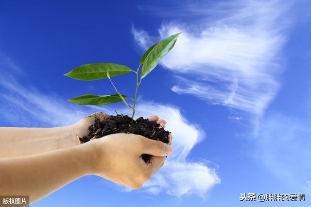 人生本来就是波澜万丈感悟 人经不住千言树经不住千斧(3)