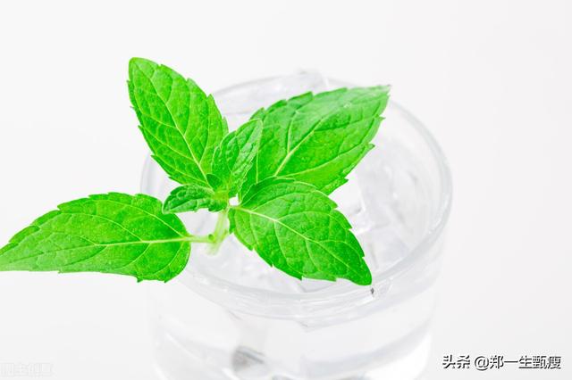 最简单减肥水（可以减肥的水你听过嘛）(4)