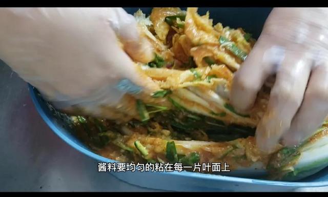 最简单的辣白菜腌制方法（教你快速腌制辣白菜的方法）(9)