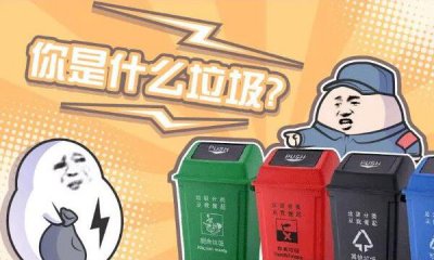 ​皮鞋是什么废物分类，可接收物（有轮回应用价格）