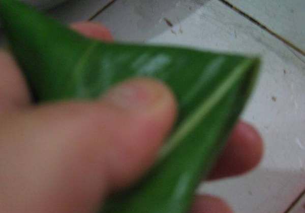 西米粽子的做法和包法,西米粽子材料和做法图18