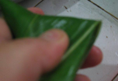 西米粽子的做法和包法,西米粽子材料和做法图8