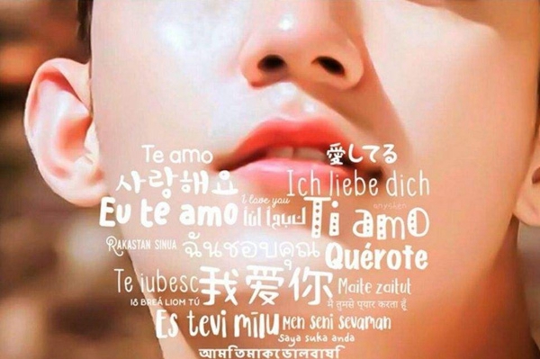 直到遇睹了你我只喜佳你