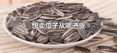 ​想卖瓜子从哪进货（瓜子批发市场进货渠道）