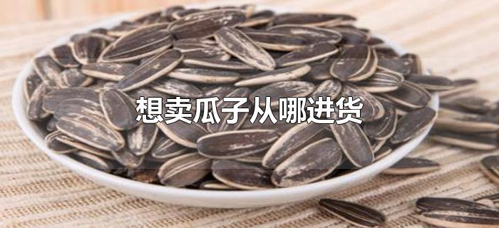 想卖瓜子从哪进货